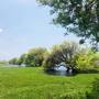 Горящие туры в отель The Blue Lagoon Resort Kalpitiya - 4