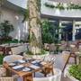 Горящие туры в отель Hilton Garden Inn Cancun Airport - 1