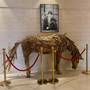 Горящие туры в отель Fraser Suites Muscat - 3