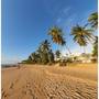 Горящие туры в отель Green Turtle Villa by the Serendipity Collection - 3