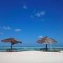 Горящие туры в отель Nest Style Beach Hotel Zanzibar - 1