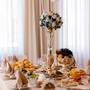 Горящие туры в отель Boutique Hotel Tomiris - 5