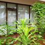 Горящие туры в отель Am Hotel Kollection- Ivy, Morjim - 3