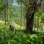 Горящие туры в отель Goatfell - 2