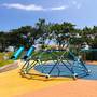 Горящие туры в отель Solea Palm Resort Mactan - 3