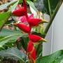 Горящие туры в отель Cashew Nut Grove Chalets - 5