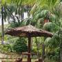 Горящие туры в отель Cashew Nut Grove Chalets - 6