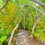 Горящие туры в отель The Seaboards Apartments Seychelles - 3
