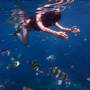 Горящие туры в отель Royal Yao Yai Island Beach Resort - 3