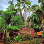 Горящие туры в отель Phuket Jungle Experience Resort - 1