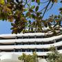 Горящие туры в отель Montenegrina Hotel & SPA - 5
