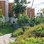 Горящие туры в отель Hyatt Regency Koh Samui - 2
