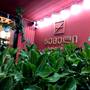 Горящие туры в отель Zemeli Boutique Hotel - 3