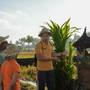 Горящие туры в отель AnandaDara Ubud Resort & Spa - 4
