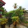 Горящие туры в отель Masith Guest House - 5