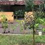 Горящие туры в отель Unawatuna Backpacker Lodge - 2
