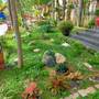 Горящие туры в отель Hon Rom Central Beach Resort - 6