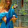 Горящие туры в отель Birds Resort Hambantota - 3