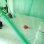 Горящие туры в отель Rainbow Guest House - 1