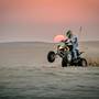 Горящие туры в отель Sealine Beach - 2