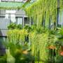 Горящие туры в отель Chi House Danang Hotel & Apartment - 3