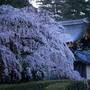 Горящие туры в отель The Junei Hotel Kyoto Imperial Palace West - 4