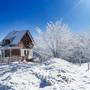 Горящие туры в отель Vila Kopaonik - 2