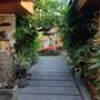 Горящие туры в отель Wayan Homestay Sanur - 2