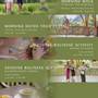 Горящие туры в отель TheWakanda Resort A Pramana Experience - 2