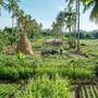 Горящие туры в отель Little Oasis - An Eco Friendly Hotel & Spa - 1