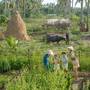 Горящие туры в отель Little Oasis - An Eco Friendly Hotel & Spa - 4