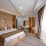 Горящие туры в отель Luxury Airport Hotel - 4