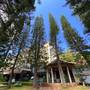 Горящие туры в отель Century Pines Resort Cameron Highlands - 1
