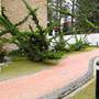 Горящие туры в отель Century Pines Resort Cameron Highlands - 6