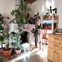 Горящие туры в отель Evergreen Guesthouse - 6