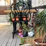 Горящие туры в отель Cedrus Hotel - 6