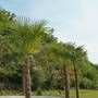 Горящие туры в отель Tilia Kvareli Resort - 2