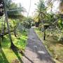 Горящие туры в отель Ayurveda Villa 386 - 3