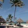 Горящие туры в отель Turtle Bay Beach Club, Watamu/ Malindi - 5