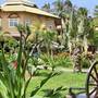 Горящие туры в отель Nang Hon Rom Resort - 2