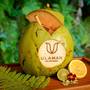 Горящие туры в отель Ulaman Eco Luxury Resort - 4
