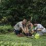 Горящие туры в отель Aksari Luxury Resort & Spa Ubud by Ini Vie Hospitality - 4