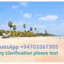 Горящие туры в отель Blue Diamond Resort - 2