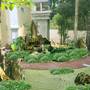 Горящие туры в отель T&T Resort - 5