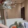 Горящие туры в отель Al Rayaheen Retreat by Sharjah Collection - 4