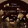 Горящие туры в отель Amanaki Thao Dien Hotel - 6