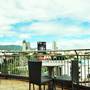 Горящие туры в отель GV Tower Hotel - 2