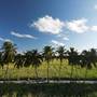 Горящие туры в отель Sands Garden Hotel Thoddoo - 1