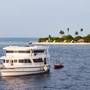 Горящие туры в отель The Maverick Surf & Dive Lodge - 2