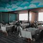 Горящие туры в отель Sahid Zarafshon Hotel - 5